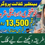 Benazir Kafalat Program Payments 2026