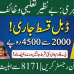 Benazir Taleemi Wazaif Registration 2026