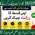 BISP 8171 Result Check Online By CNIC